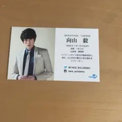 向山毅　SHOW-WA SOLIDEMO 名刺　レア