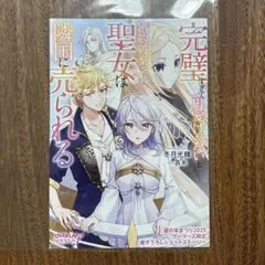 完璧すぎて可愛げがないと婚約破棄された聖女は隣国に売られる 8Pブックレット