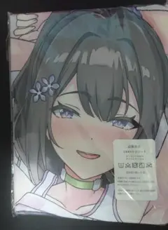 【抱き枕カバー】ブルーアーカイブ ブルアカ 乙花スミレ ⑤-7