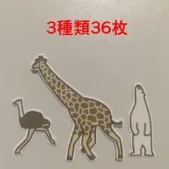 ポーズ動物　フレークシール1　セットC　3種類36枚