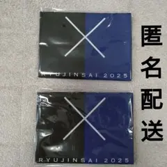 氣志團　中日ドラゴンズ　コラボ手ぬぐい　2枚セット