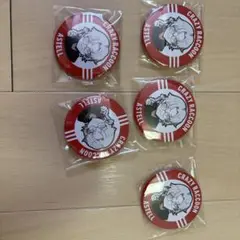 cwrwrdRaccoon CR 缶バッジセット5個