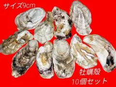 Item thumbnail for item ab8afabb-fbcf-4d75-9f98-25463e836adb