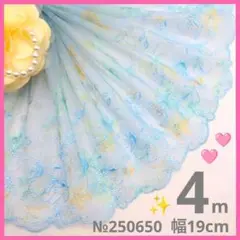 №250650 チュールレース