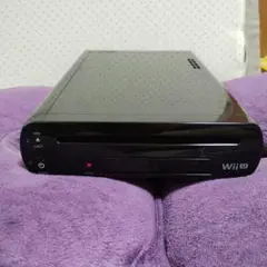 ソフト４本　wiiu本体 32GB　マインクラフト　バイオ　スプラ　partyu