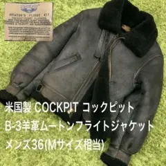 Item thumbnail for item cb81437d-e88f-4354-8013-2fd253e551d5