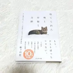 捨てられた僕と母猫と奇跡　心に傷を負った二人が新たに見つけた居場所