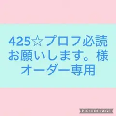 425☆プロフ必読お願いします。様　オーダー専用　つまみ細工　羽子板飾り