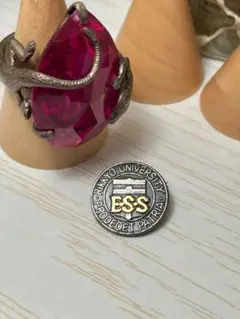 Item thumbnail for item 2369ecb8-229a-4eb1-b2d6-50c0fa4e607a