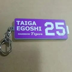 阪神タイガースシークレットミラー 江越選手