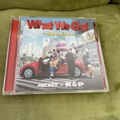 What We Got ～奇跡はきみと～