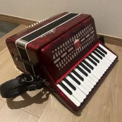 BAI-LE アコーディオン ソフトケース付き【職人検品 音出し動作確認済み】 2025年最新】BAI-LE アコーディオンの人気アイテム - メルカリ