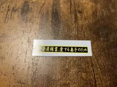 Item thumbnail for item ca11fa26-761b-4f7f-b6a9-d4785a41acc2