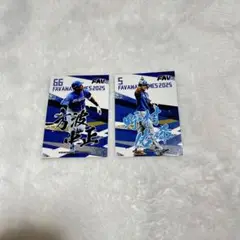 ファイターズ トレカ 野村 万波