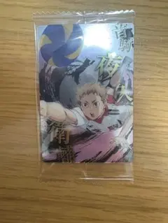 ハイキュー!! 夜久衛輔 ウエハースカード