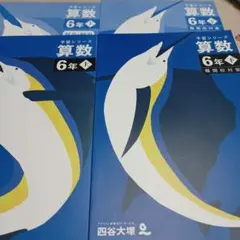 学習シリーズ 算数 6年 四谷大塚上下