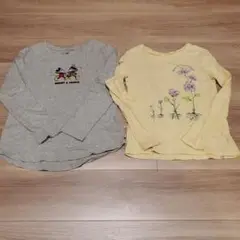 Item thumbnail for item 14fe885b-aaa1-4f16-a556-8611e0a1fd3b