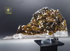 Item thumbnail for item 47f25c81-eeca-40d6-a0bf-ccbec6b863b1