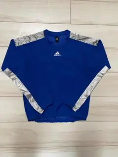 Item thumbnail for item 0895c8ce-80a9-44f4-b823-382935cf1dca