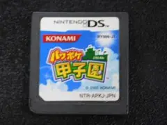 ＠★ＤＳ★パワポケ甲子園（ソフトのみ）☆送料込み☆