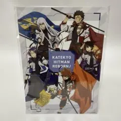 家庭教師ヒットマン REBORN！　ラッキーくじ　ラッキーエンド賞