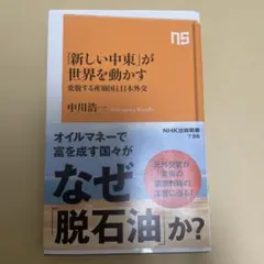 「新しい中東」が世界を動かす : 変貌する産油国と日本外交