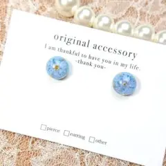 #3822/ハンドメイド♡押し花ドライフラワーレジンピアス