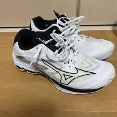 ミズノ　Wave Lightning Z7 バレーボールシューズ　25.5cm