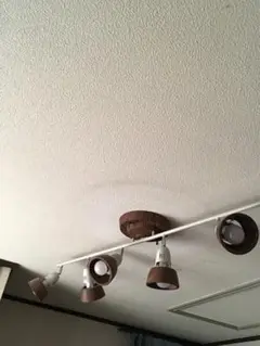らいと