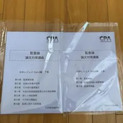 CPA 監査論　論文対策講義　松本レジュメ　input編 2025年