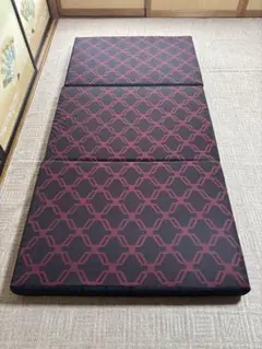女性オーナー　AiR SX マットレス 9x80x195cm 収納袋付き 女性オーナー AiR SX マットレス 9x80x195cm 収納袋付き