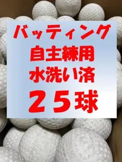 【水洗い済み】25球B① 軟式野球中古ボール