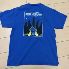 ヘインズ　バックプリントTシャツ　00s ブルー