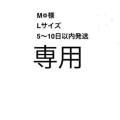 専用ページ