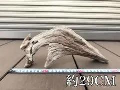 天然流木【アク抜き済み／天日干し済み】アクアリウムや爬虫類の登り木、インテリアに