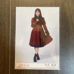 向井純葉 生写真 IWTC(新品未開封)