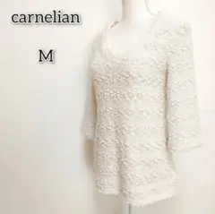 Item thumbnail for item 67e540de-e780-405e-8f05-d1a9aa799b96