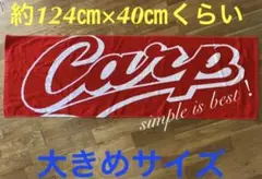 未使用品★広島カープ★シンプルイズベスト！なスポーツタオル 小さめバスタオル