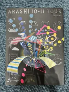 嵐 君と僕の見ている風景 DVD
