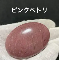 高品質　ピンクペトリファイドウッド　パーム