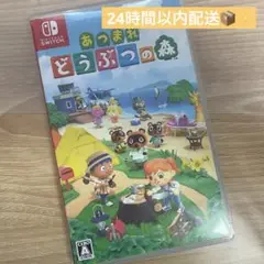 あつまれ どうぶつの森 Nintendo Switch