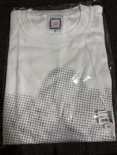 Item thumbnail for item 3fd6b9b0-a41f-499f-847a-268e3b90d9b2