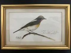 鳥類画「The Whinchat（ノビタキ）」