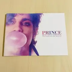 映画『プリンス　ビューティフル・ストレンジ』公式パンフレット