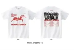 【新品】長谷川慎 着用同型 長袖Tシャツ NEW ERA ニューエラ ランペ B 長谷川慎 着用同型 長袖Tシャツ NEW ERA ニューエラ ランペ（THE
