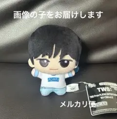 TWS トゥアス ちびぐるみ ぬいぐるみ DOHOON ドフン ナムコ