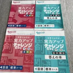 進研ゼミ　実力アップチャレンジ 6年生 4〜8月・9〜12月