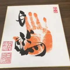 2025年最新】サイン 色紙 白鵬の人気アイテム - メルカリ
