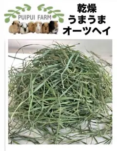 Item thumbnail for item 53523e80-13d1-4415-bf9a-dd38dc6f8d74