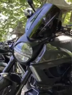 Ducati ディアベル11-13 アルマックス（ermax）ノーズスクリーン黒 アルマックス(ermax) ノーズスクリーン ディアベル 11-13